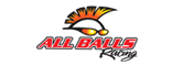 AllBallsRacing