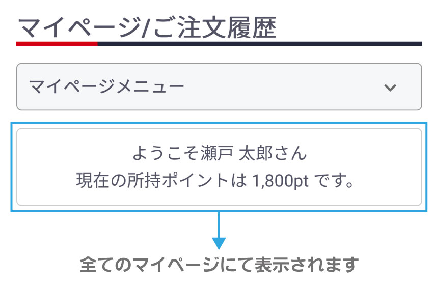 ポイントについて