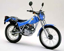 TL125 バイアルス