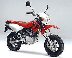 XR100MOTARD