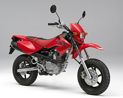 XR100MOTARD