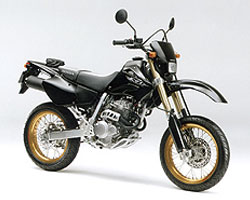 XR250 モタード