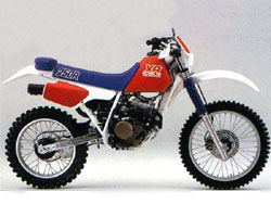 XR250R