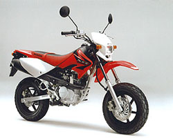 XR50MOTARD