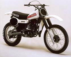 YZ250