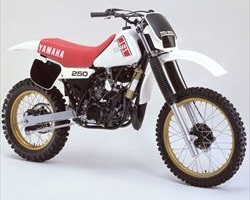 YZ250