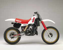 YZ250