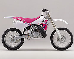 YZ250