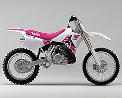 YZ250