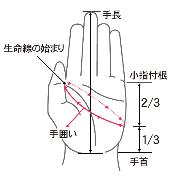 手囲い